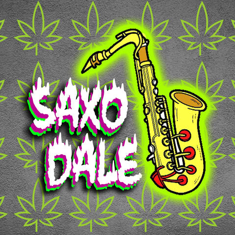 Saxo Dale