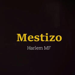 Mestizo
