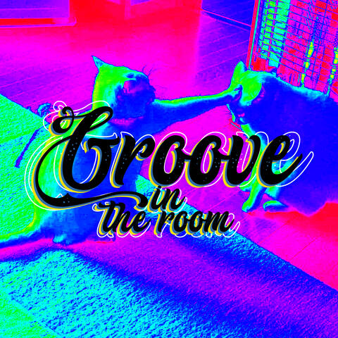 Groove in the Room