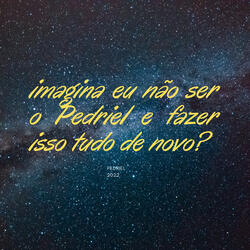 Imagina Eu Não Ser o Pedriel e Fazer Isso Tudo de Novo?