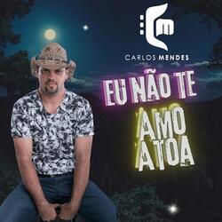 Eu Não Te Amo a Toa