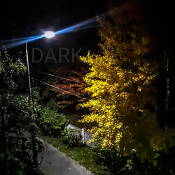 Dark