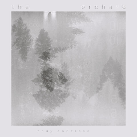 The Orchard