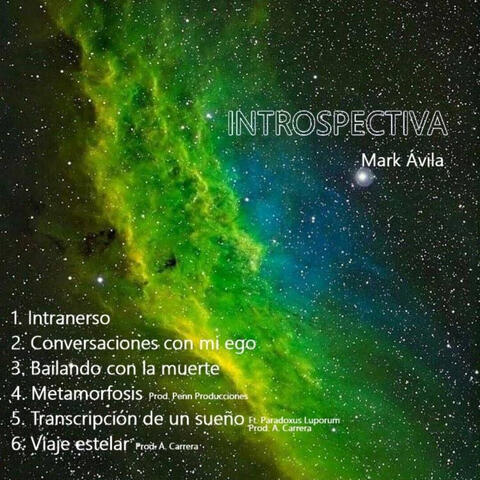 Introspectiva
