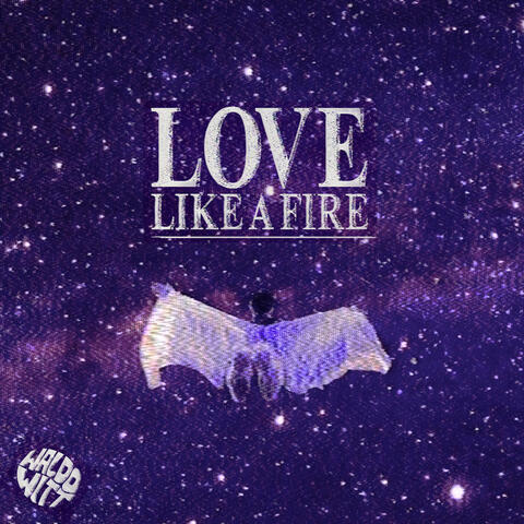 Love Like A Fire