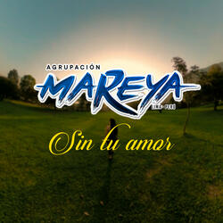 Sin Tu Amor