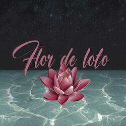 Flor de Loto