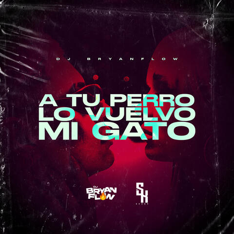 A Tu Perro Lo Vuelvo Mi Gato