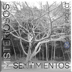 Misteriosos Sentimientos