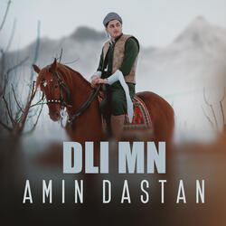 Dli Mn