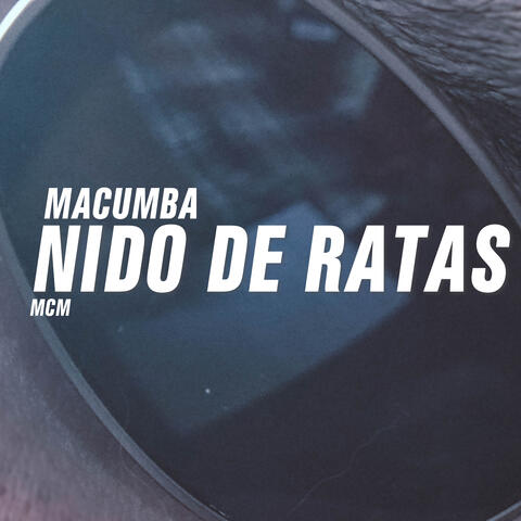 Nido de Ratas