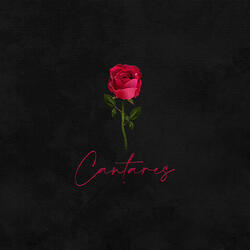 Cantares