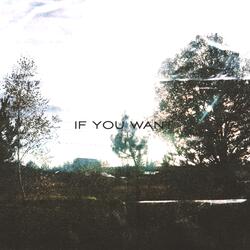 If You Want