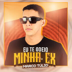 Eu Te Odeio Minha Ex