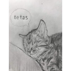 Fantasías