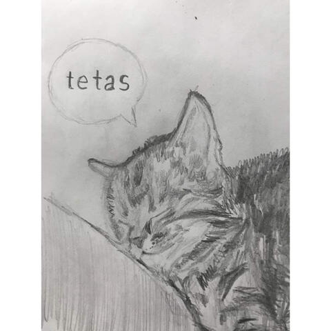 Fantasías