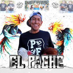 El Pache