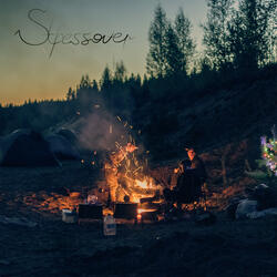 Night in the Forest
