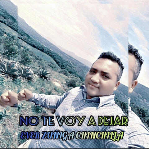 No Te Voy a Dejar