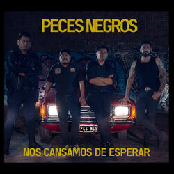 Nos Cansamos de Esperar