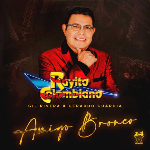 Amigo Bronco