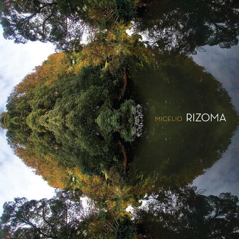 Micelio