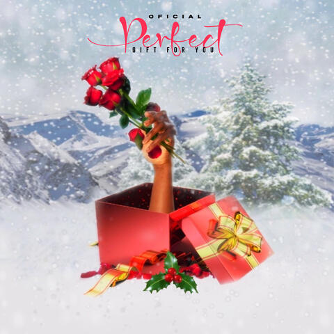 Perfect Gift For You