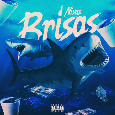 Brisas