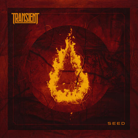 Seed