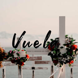 Vuela