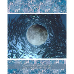 Heal the Moon