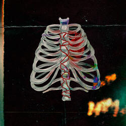 В грудной полости