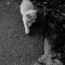 В моих мыслях только ты