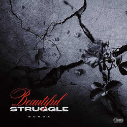 Beautiful Struggle