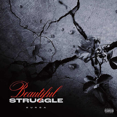 Beautiful Struggle