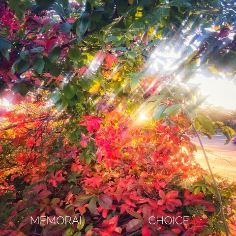 Choice
