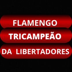 Flamengo Tricampeão da Libertadores