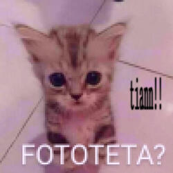 Fototeta