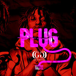 Plug