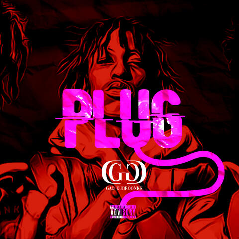Plug
