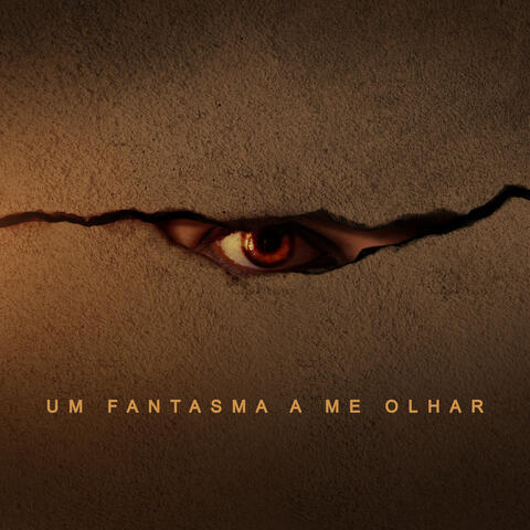 Um Fantasma a Me Olhar