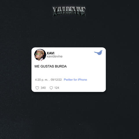 Me Gustas Burda