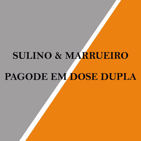 Pagode em Dose Dupla