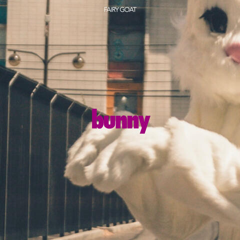 Bunny