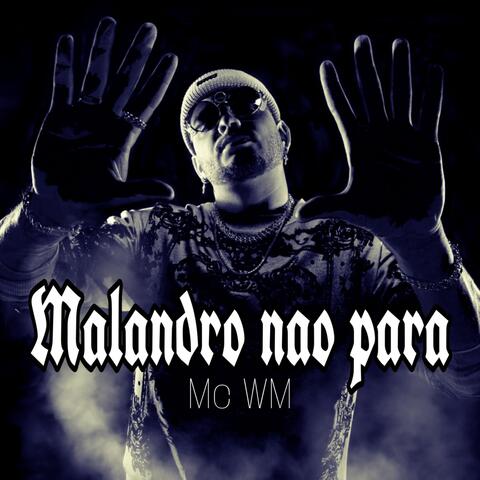 Malandro Nao Para