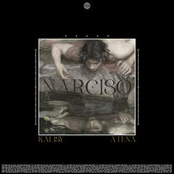 Narciso