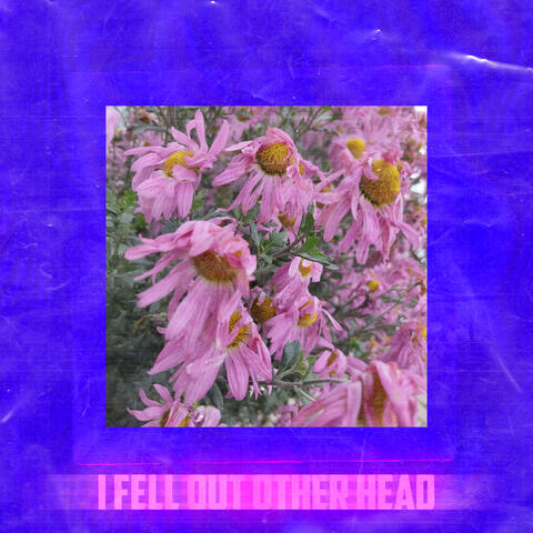 I Fell out Other Head