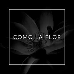 Como La Flor