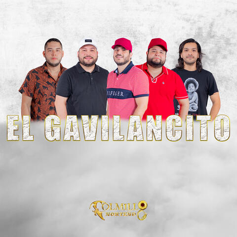 El Gavilancillo