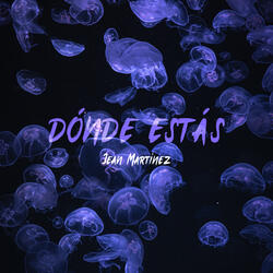 Dónde Estás
